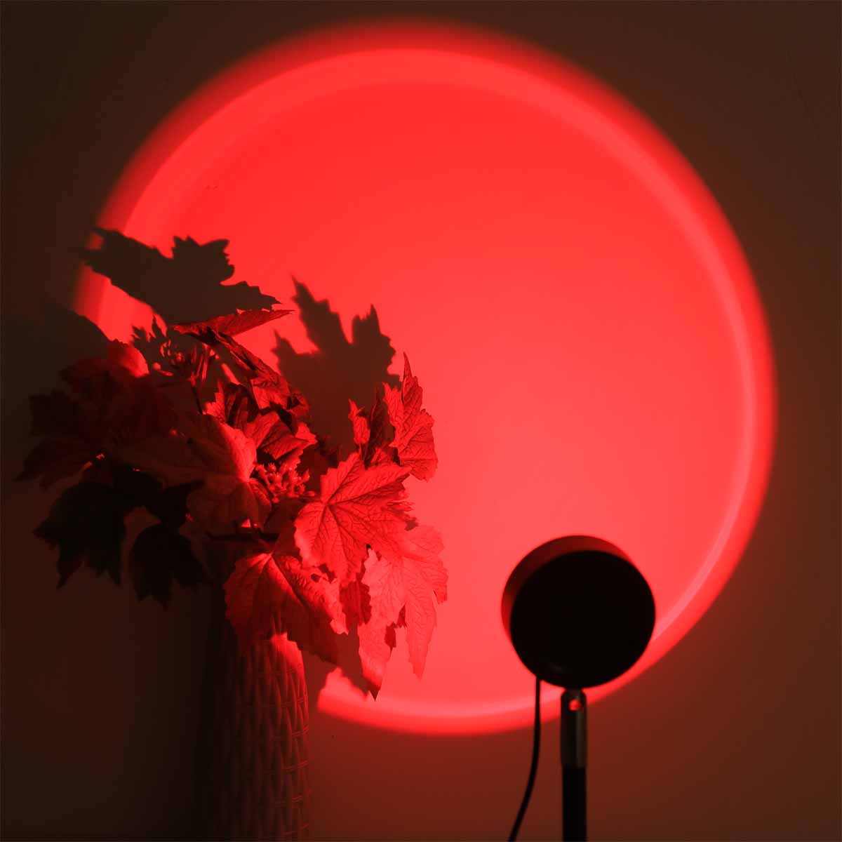サンセットプロジェクションライトリモコン付き16色アンビエン - Photography Lighting Wall のレビューと価格